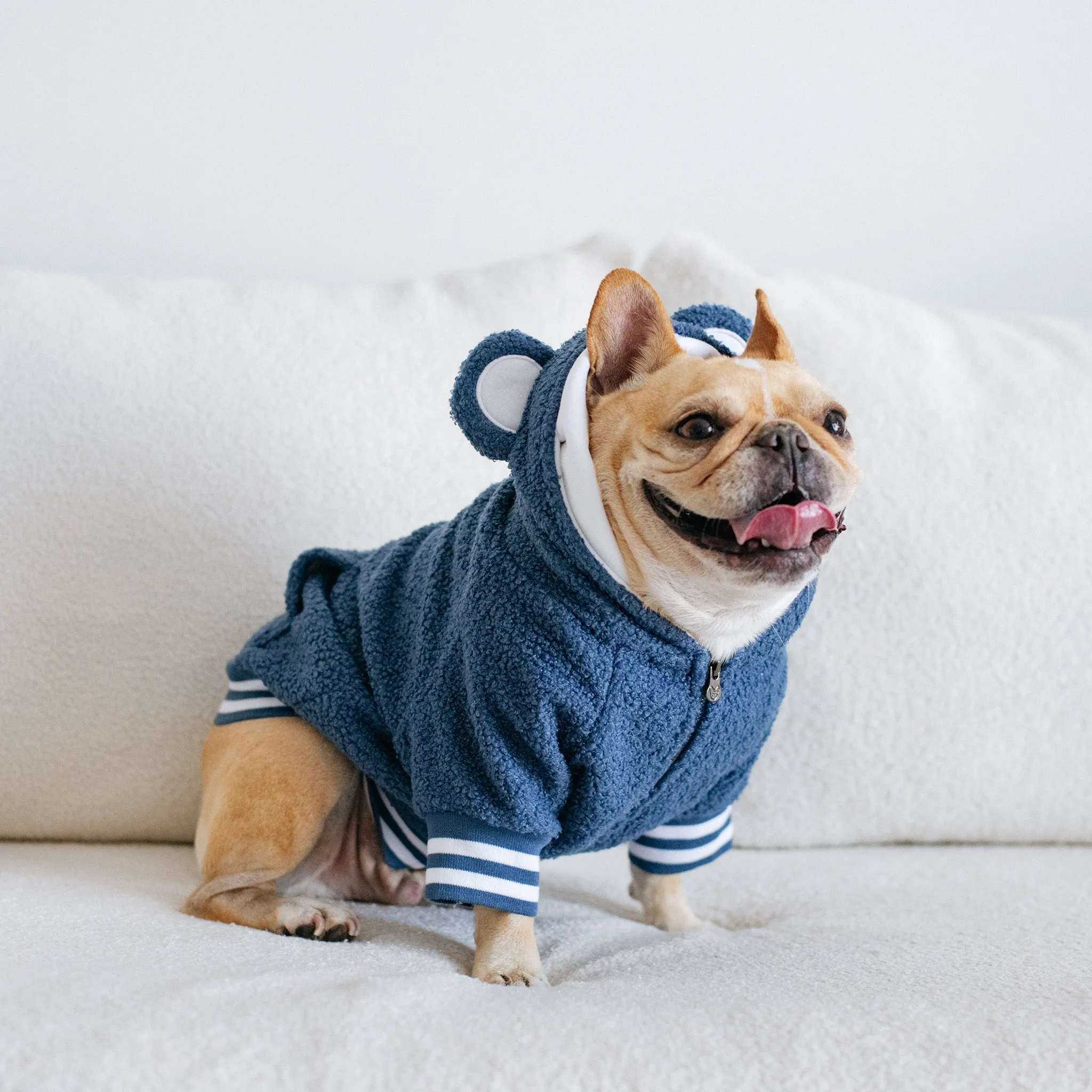 Frenchie Dog Hoodie - Blue Teddy