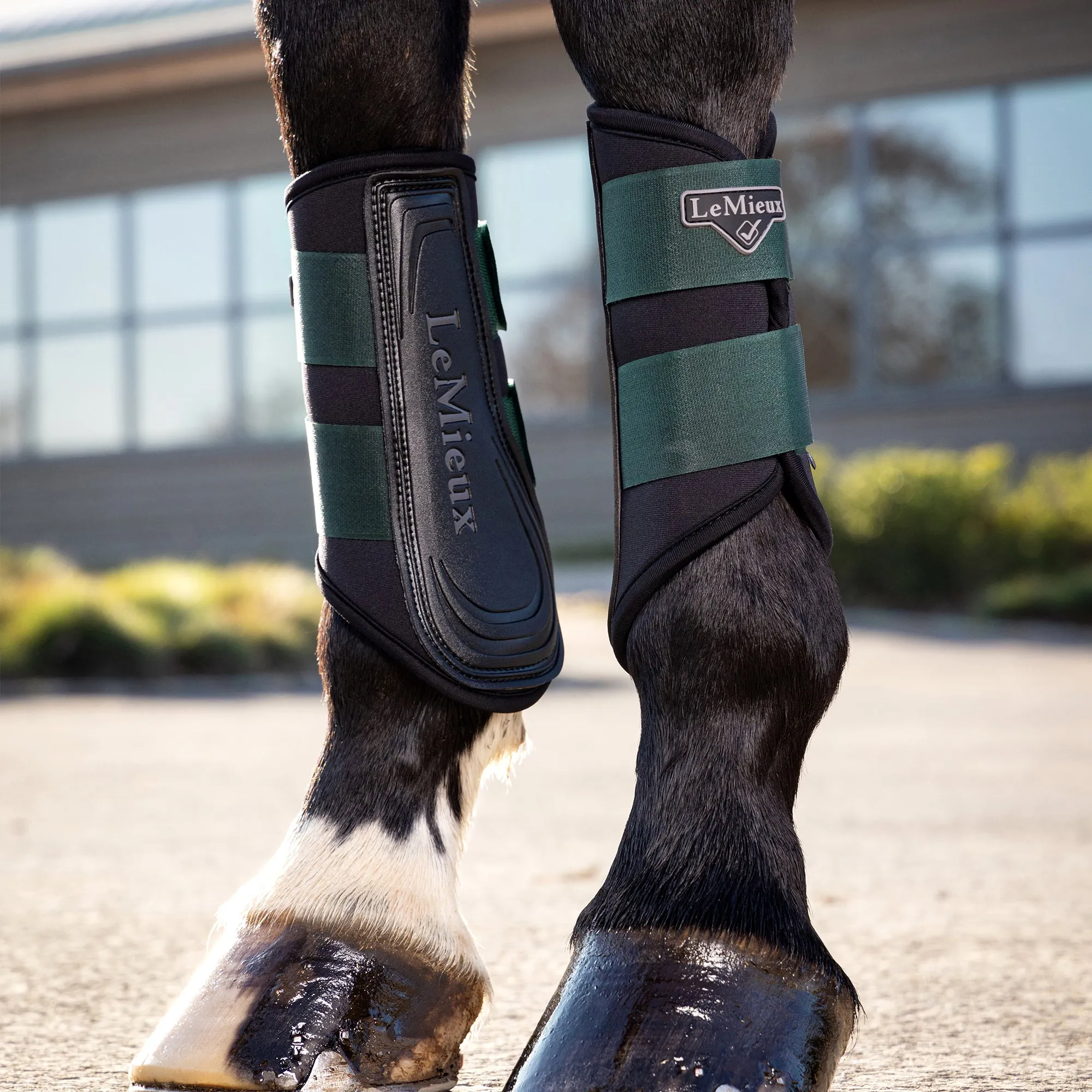 Lemieux Grafter Brushing Boots - Spruce